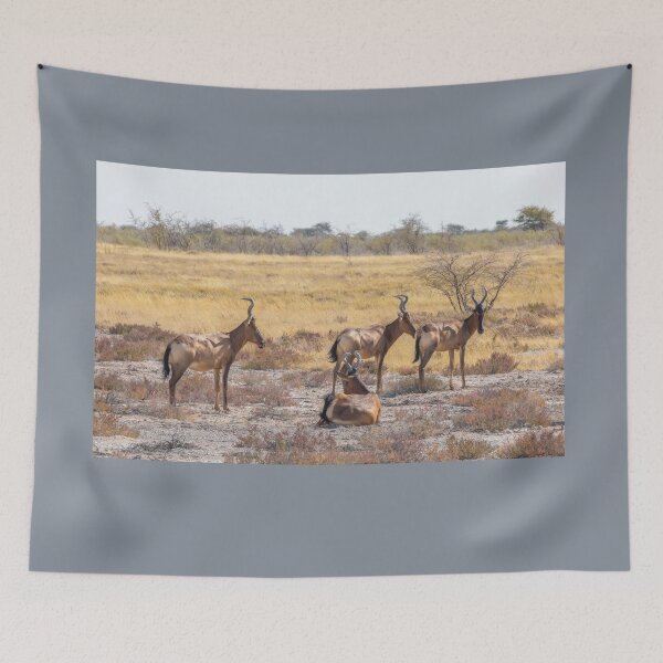 Item preview, Namibia. Etosha National Park. Hartebeests.  designed and sold by vadim19.