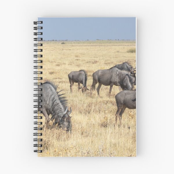 Artikelvorschau, Namibia. Etosha-Nationalpark. Eine Verwechslung von Gnus. entworfen und verkauft von vadim19.