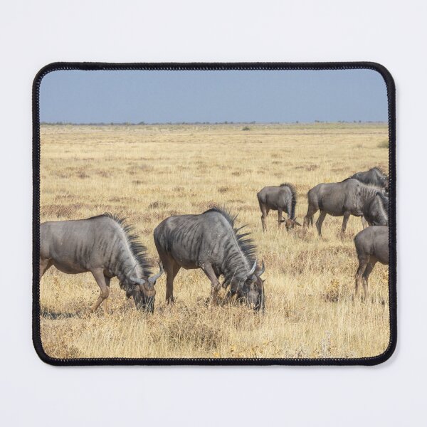 Item preview, Namibia. Etosha National Park. A Confusion of Wildebeest.  designed and sold by vadim19.
