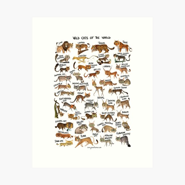 Item preview, Wild Cats of the World designed and sold by Green Humour.