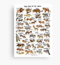 Wild Cats of the World Canvas Print