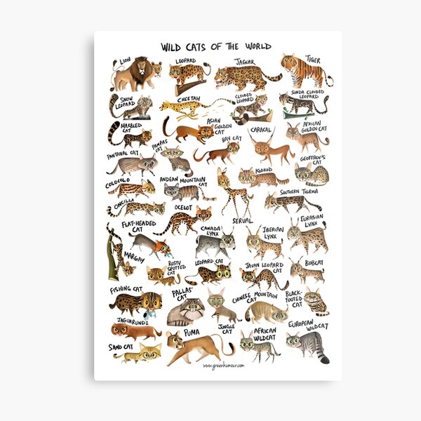 Item preview, Wild Cats of the World designed and sold by Green Humour.