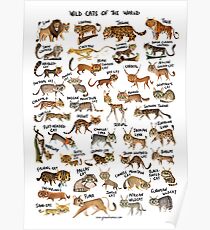 Wild Cats of the World Poster