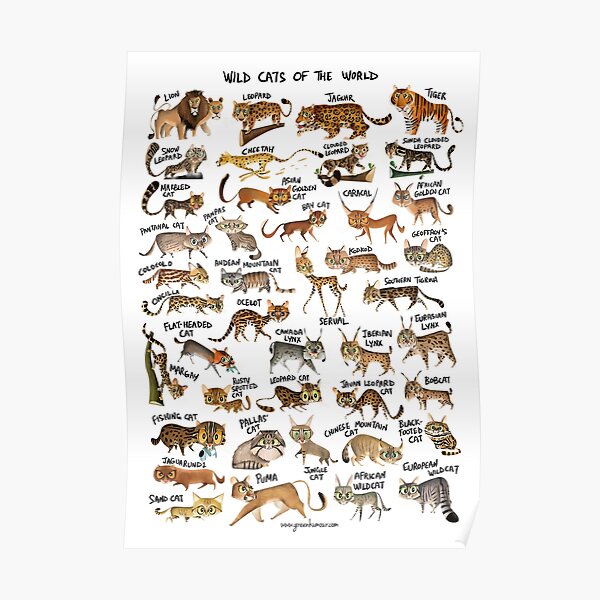 Wild Cats of the World Poster