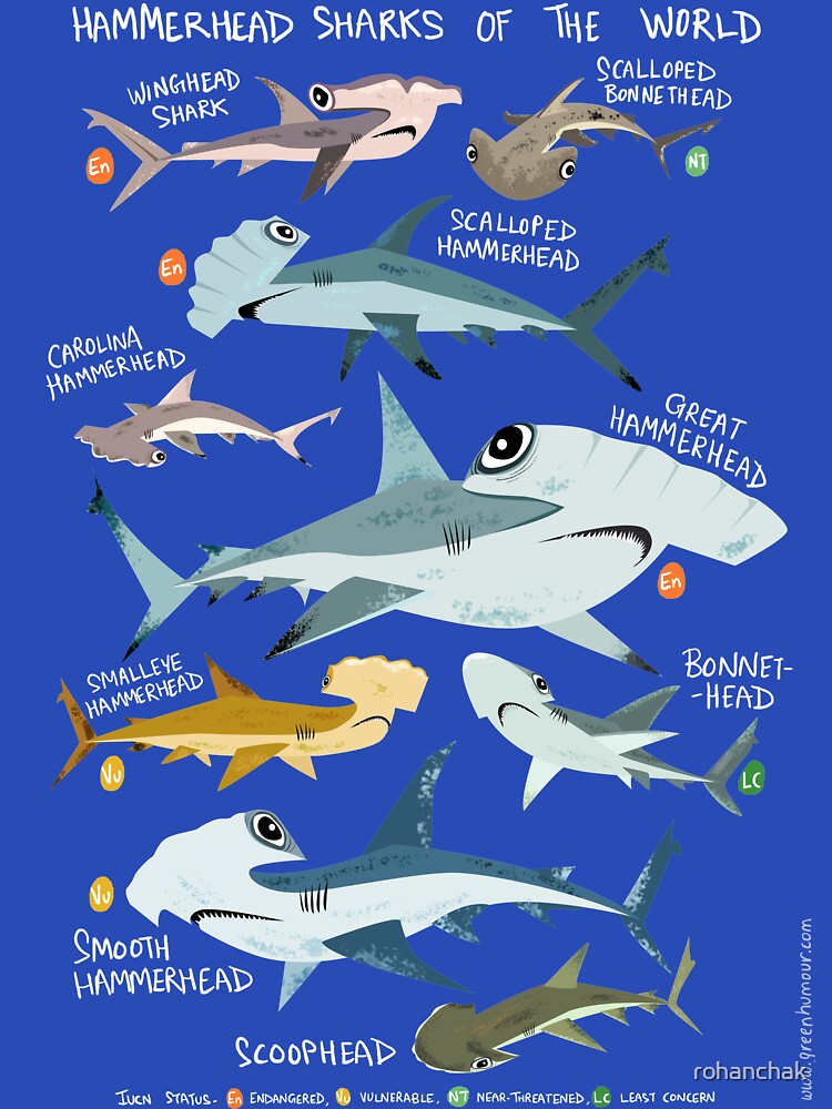 Hammerhead Sharks of the World Essential T-Shirt for Sale by rohanchak