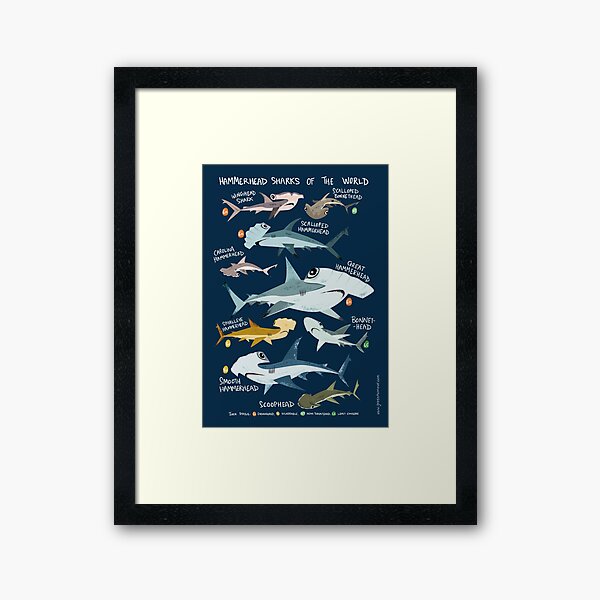Item preview, Hammerhead Sharks of the World designed and sold by Green Humour.