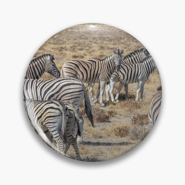 Item preview, Namibia. Etosha National Park. A Dazzle of Zebra.  designed and sold by vadim19.