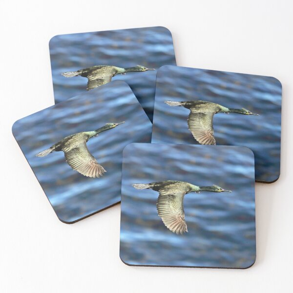 Item preview, Cormorant in Flight designed and sold by Tom McPherson Photography.