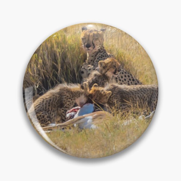 Item preview, Namibia. Etosha National Park. Cheetah with Cubs Feeding on Fresh Kill.  designed and sold by vadim19.