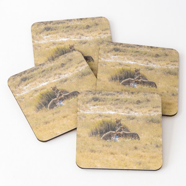 Item preview, Namibia. Etosha National Park. Cheetah with Cubs Feeding on Fresh Kill.  designed and sold by vadim19.