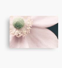 ~ Love the light that brings a smile ~ Canvas Print