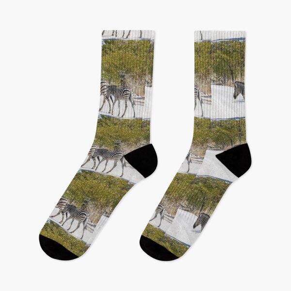 Item preview, Namibia. Etosha National Park. Zebras Crossing Road.  designed and sold by vadim19.