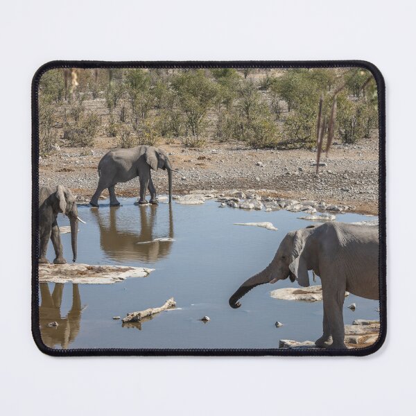 Artikelvorschau, Namibia. Etosha-Nationalpark. Drei Elefanten am Wasserloch. entworfen und verkauft von vadim19.