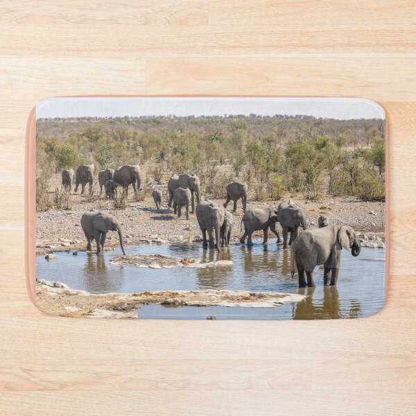 Item preview, Namibia. Etosha National Park. Herd of Elephants Approaching a Waterhole.  designed and sold by vadim19.