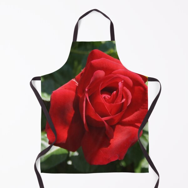 Item preview, Beautiful Climbing Red Rose Close Up Photograph designed and sold by taiche.