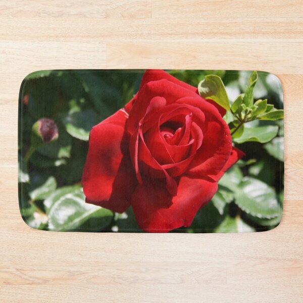 Item preview, Beautiful Climbing Red Rose Close Up Photograph designed and sold by taiche.