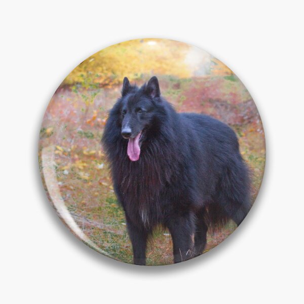 Item preview, Belgian Shepherd Groenendael in Autumn Wood designed and sold by ArtbyDanya.