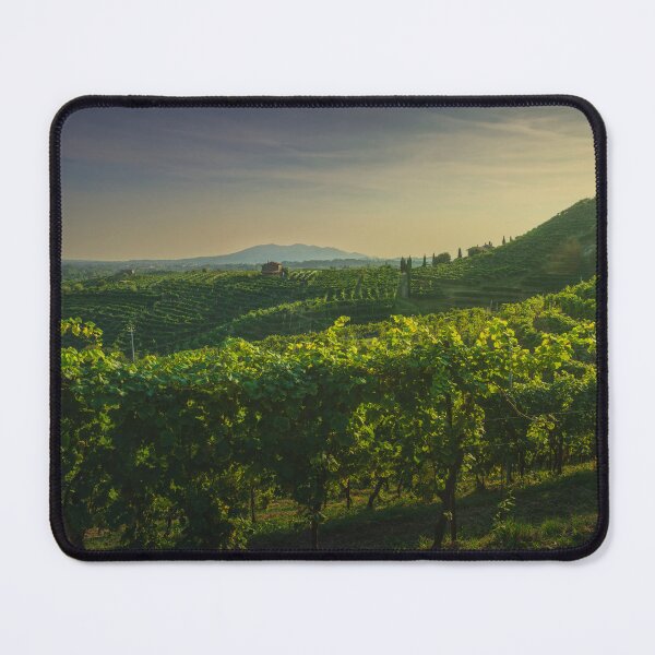Artikelvorschau, Weinberge des Prosecco. Valdobbiadene, Venetien, Italien entworfen und verkauft von Stefano Orazzini.