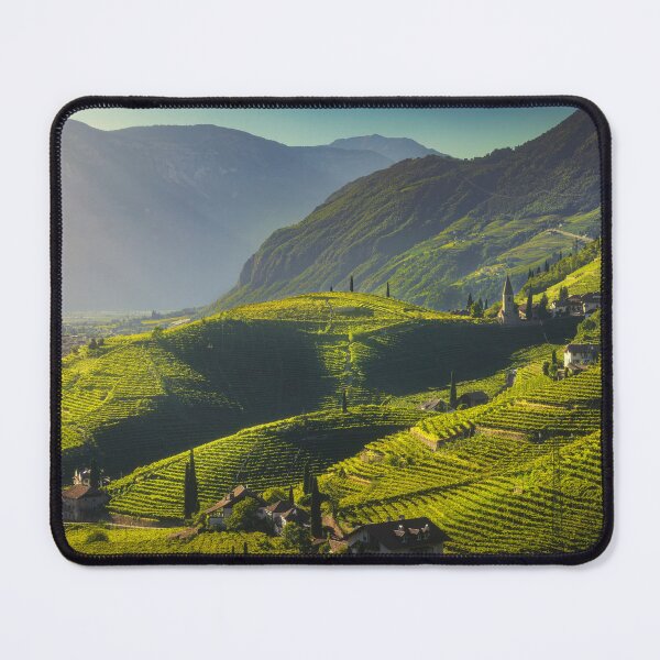 Item preview, Vineyards in Santa Maddalena, Bolzano. Alto Adige, Italy. designed and sold by Stefano Orazzini.