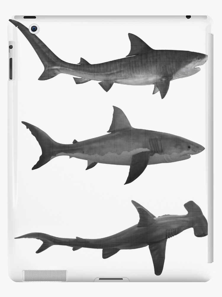 Tiger Shark Great White Shark & Hammerhead Shark | iPad Case & Skin