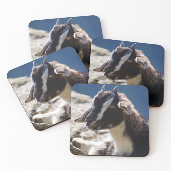 Item preview, Goat fawn on a rock designed and sold by ChicVoyagePics.