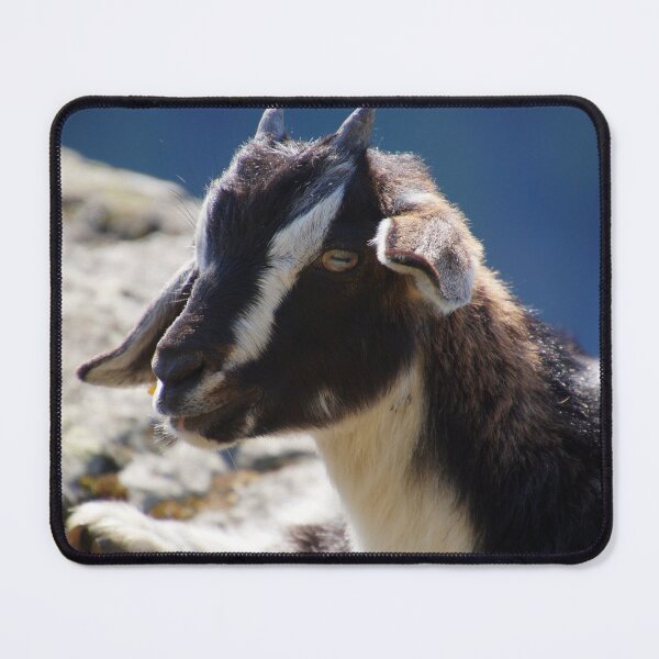 Item preview, Goat fawn on a rock designed and sold by ChicVoyagePics.
