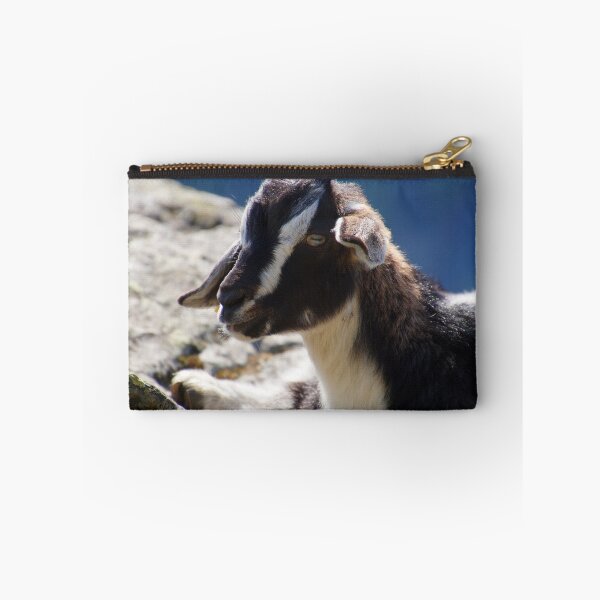 Item preview, Goat fawn on a rock designed and sold by ChicVoyagePics.