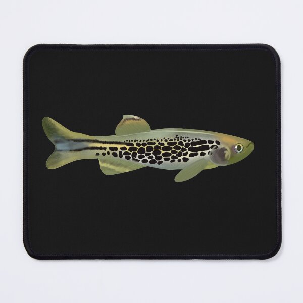 Item preview, Golden Leopard Danio designed and sold by Iyuda.
