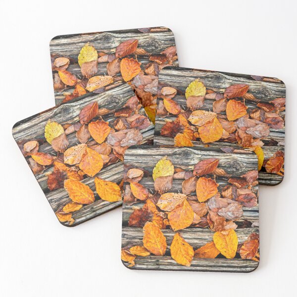 Item preview, Definition of Autumn designed and sold by Hercules Milas.