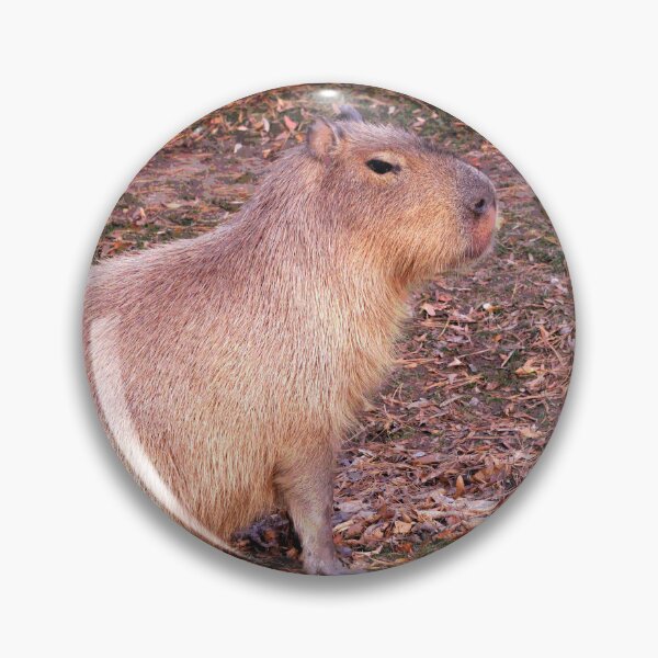 Item preview, Capybara #3 designed and sold by KingdomWildlife.