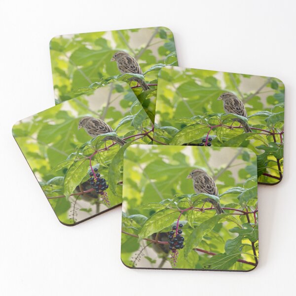 Item preview, Cute sparrow and pokeberries designed and sold by KRFNatureGifts.