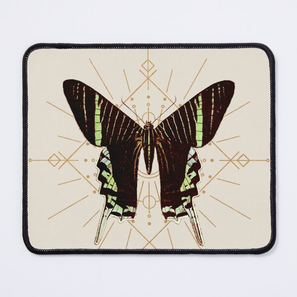 Item preview, Green-Banded Urania designed and sold by Faille Schmitz.