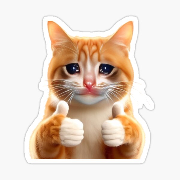 Crying Cat Thumbs Up Meme Stickers, Funny Cat Lovers Gift Sticker for Sale  by bouraydasbrand