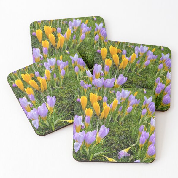Item preview, Harbingers of Spring designed and sold by Violaman.