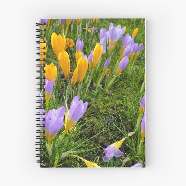 Item preview, Harbingers of Spring designed and sold by Violaman.