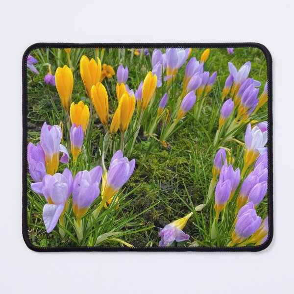 Item preview, Harbingers of Spring designed and sold by Violaman.