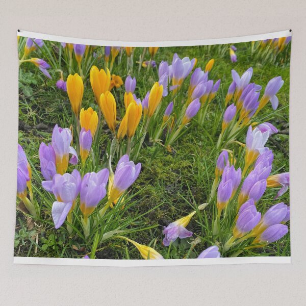 Item preview, Harbingers of Spring designed and sold by Violaman.