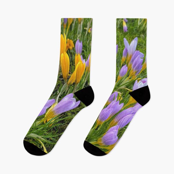 Item preview, Harbingers of Spring designed and sold by Violaman.