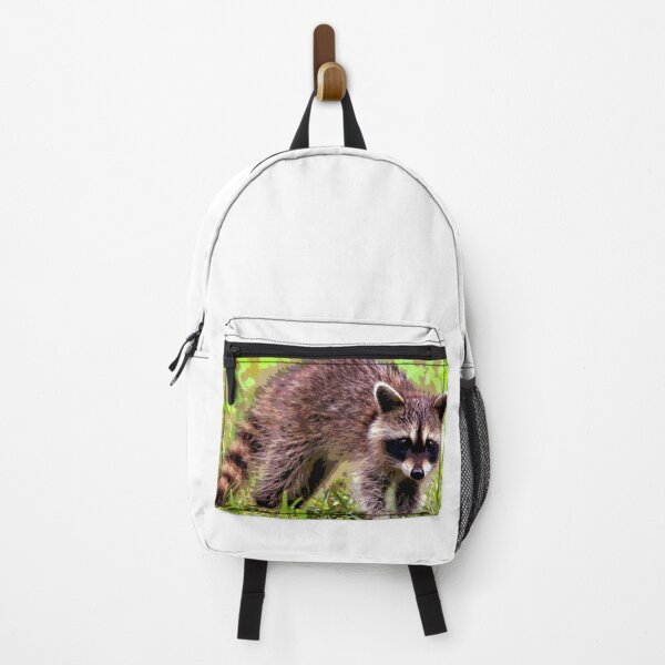 Item preview, Raccoon designed and sold by KingdomWildlife.