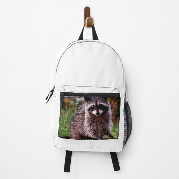 Item preview, Raccoon #2 designed and sold by KingdomWildlife.