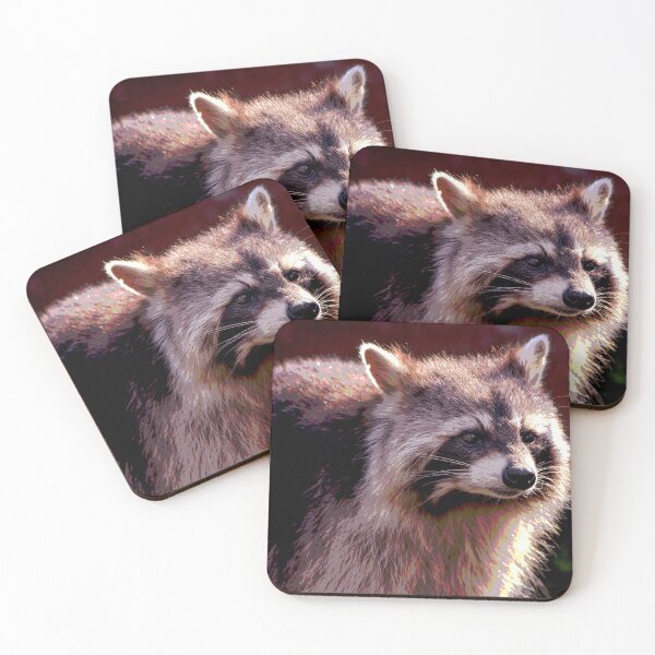 Item preview, Raccoon #3 designed and sold by KingdomWildlife.