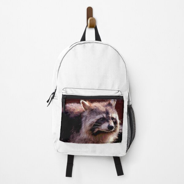 Item preview, Raccoon #3 designed and sold by KingdomWildlife.
