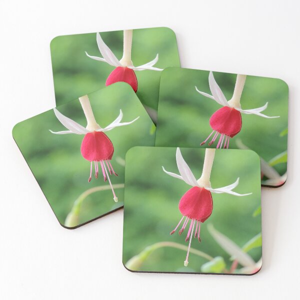 Item preview, Pink And White Fuchsia Flower  designed and sold by aspiritualgirl.