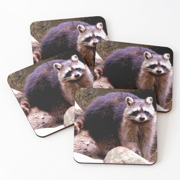 Item preview, Raccoon #6 designed and sold by KingdomWildlife.