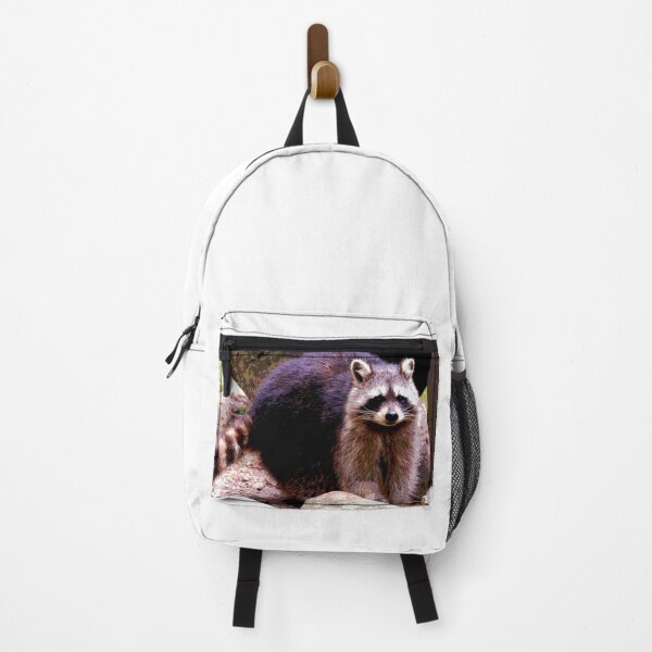 Item preview, Raccoon #6 designed and sold by KingdomWildlife.