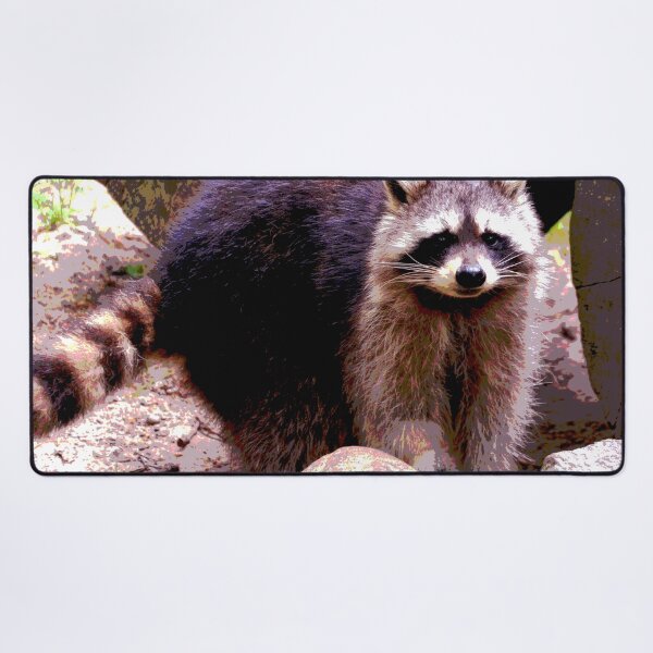 Item preview, Raccoon #6 designed and sold by KingdomWildlife.