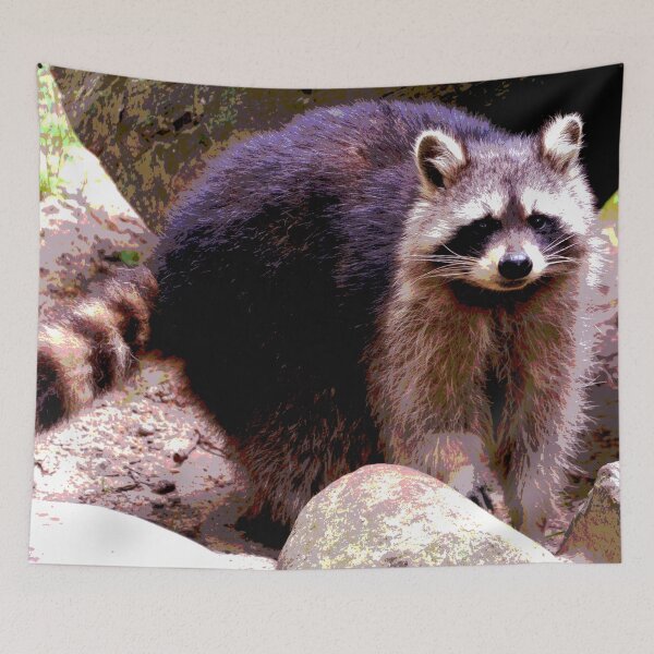 Item preview, Raccoon #6 designed and sold by KingdomWildlife.
