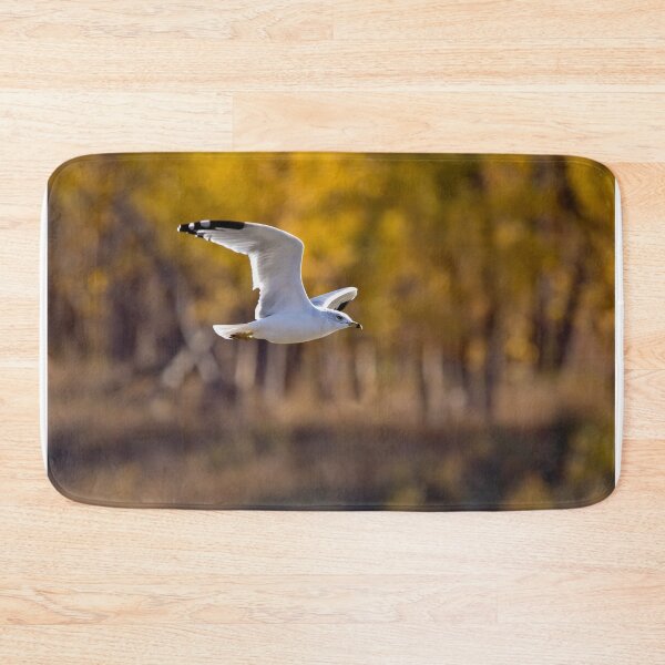 Item preview, Flying seagull in fall designed and sold by KRFNatureGifts.