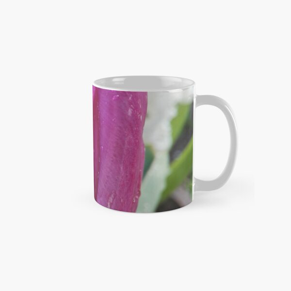 Purple tulip in backyard Classic Mug