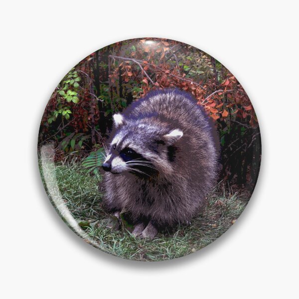 Item preview, Raccoon #9 designed and sold by KingdomWildlife.